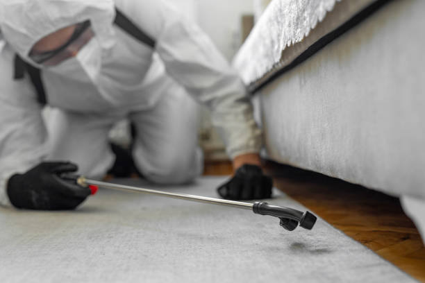 Professional Bed Bug Control technician working in Guin, AL
