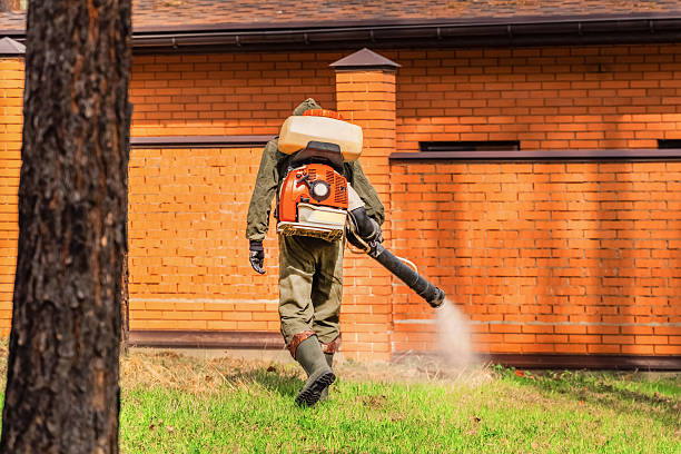 Trusted Ant Control service in Guin, AL - Nex Pest Control